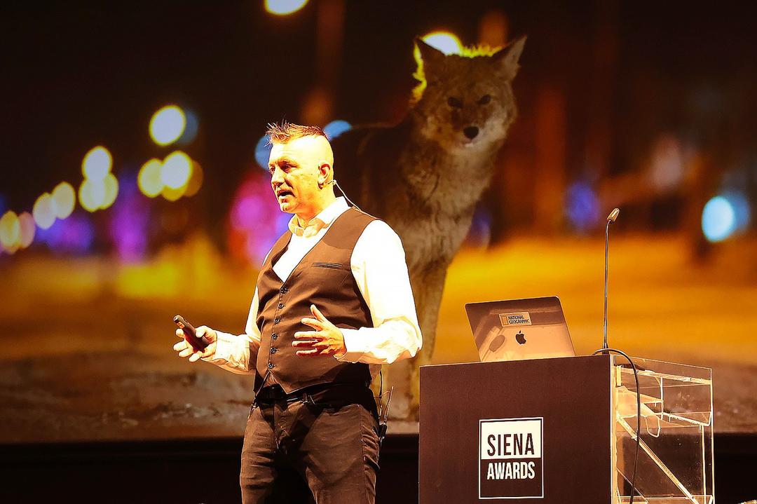 SIPA TALKS: Where History Meets Emotion