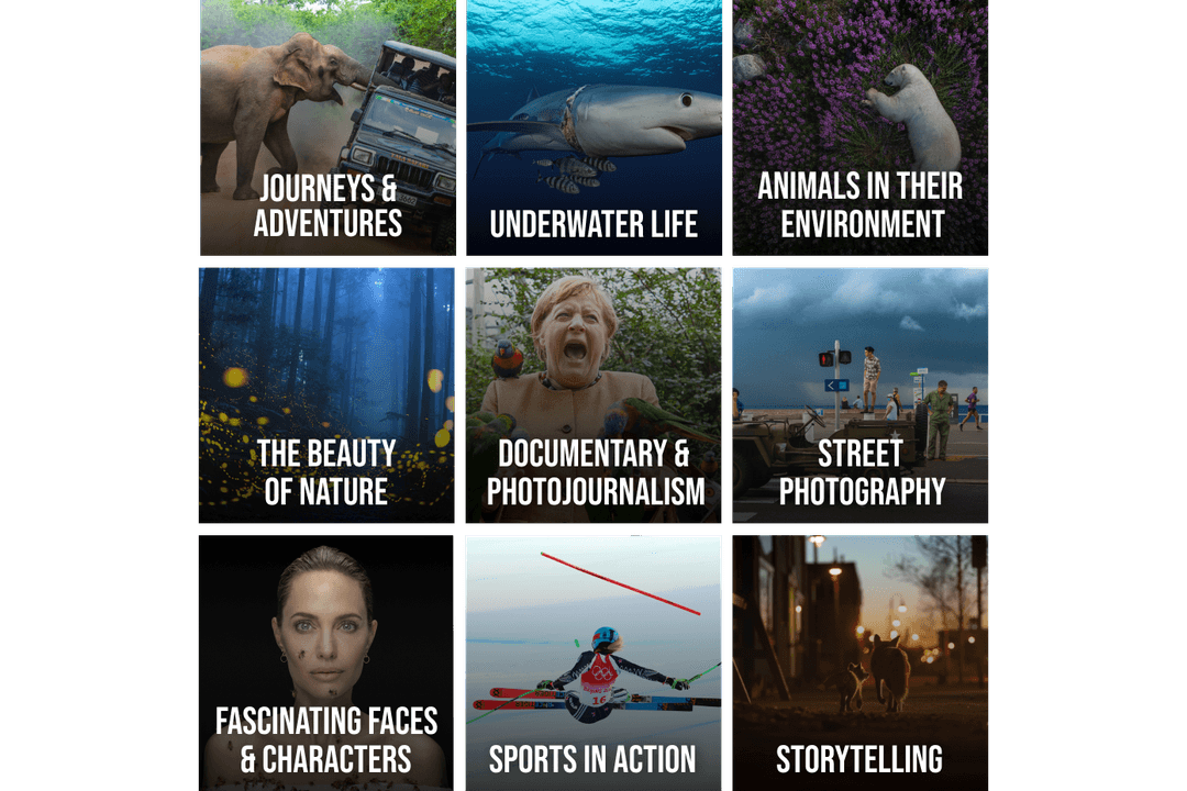 10 CATEGORIES